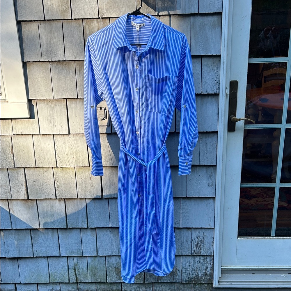 Signature8 Blue Striped Dress